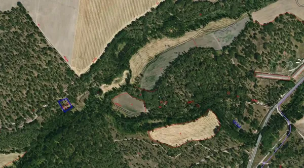 Spot image