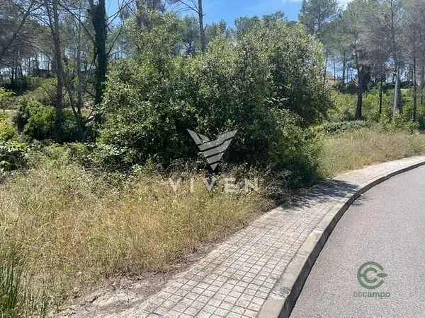 Spot image