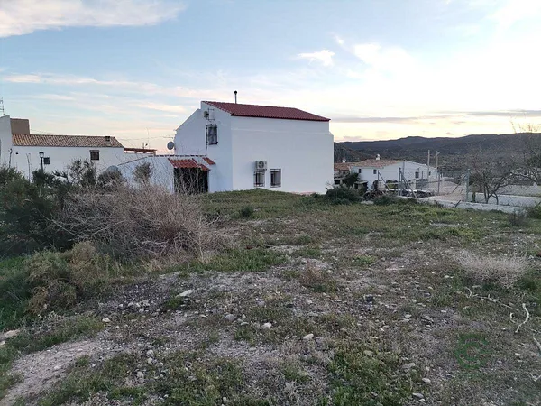 Spot image