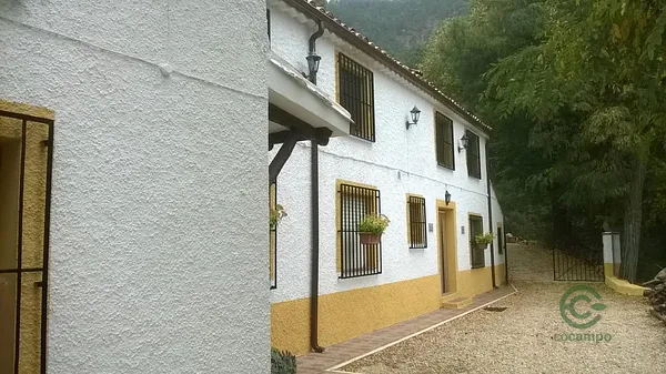 Spot image