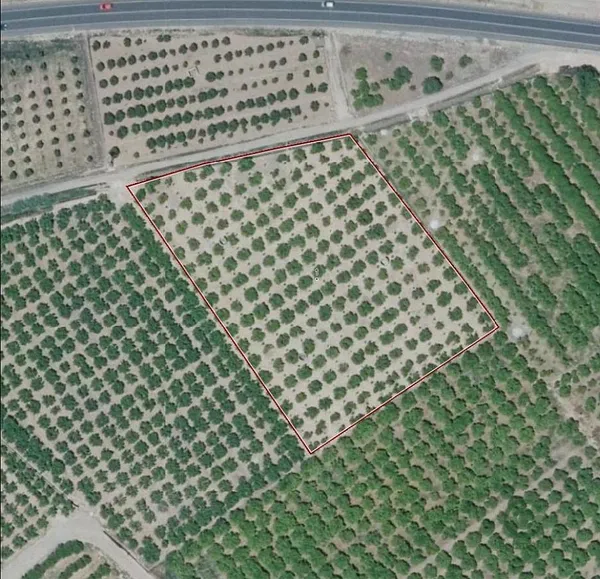 Spot image