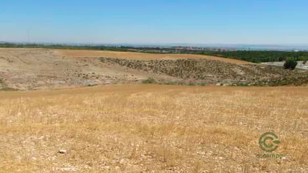 Spot image