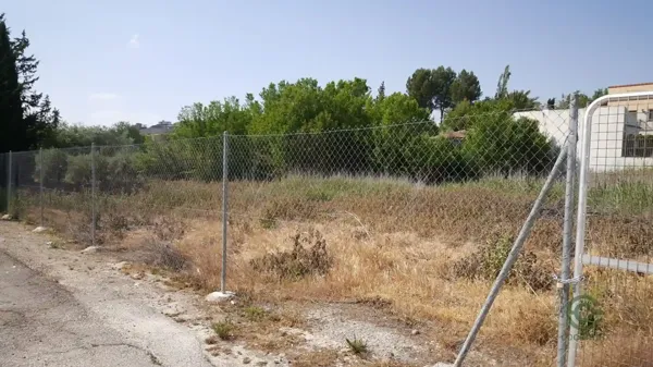 Spot image