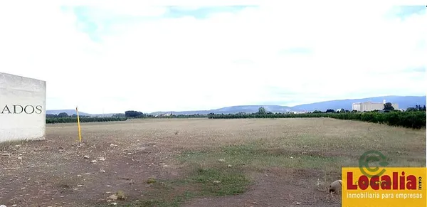 Spot image