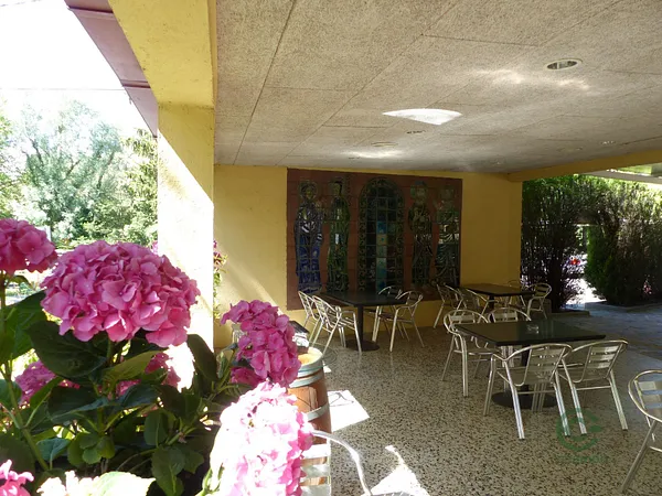 Spot image