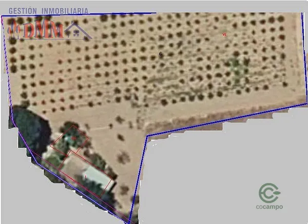 Spot image