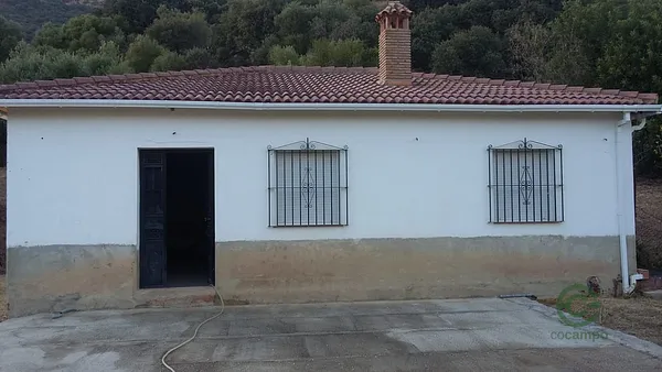 Spot image