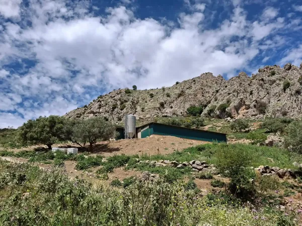 Spot image
