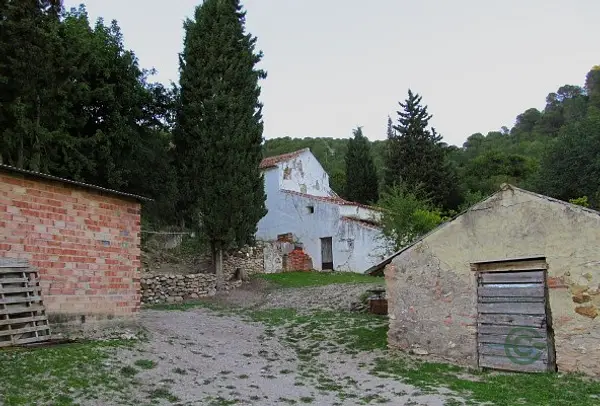 Spot image