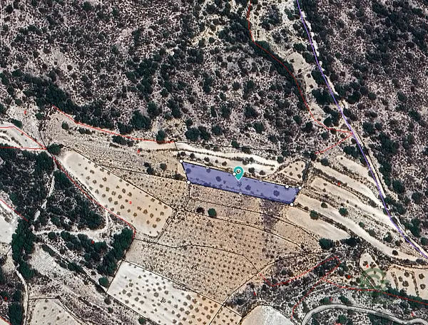 Spot image