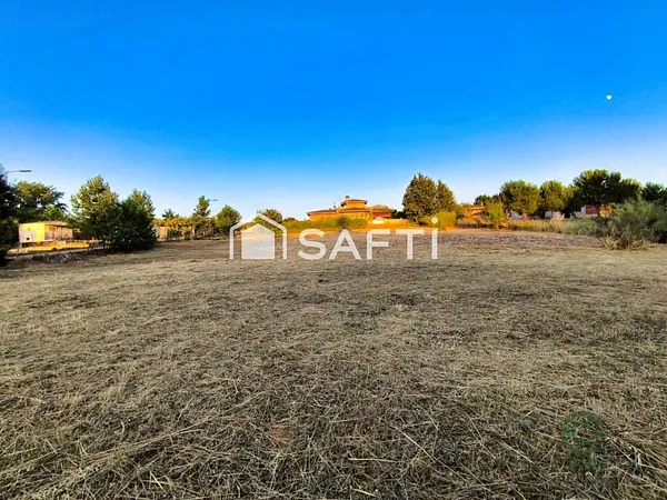Spot image