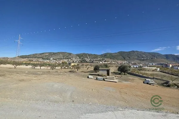 Spot image