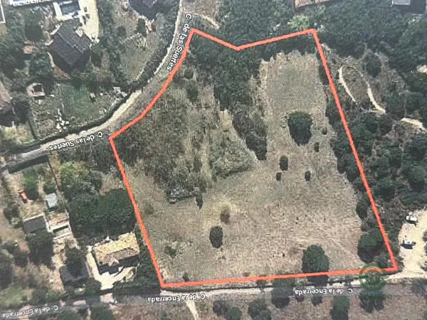 Spot image
