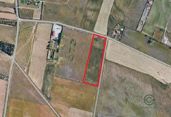 Spot image