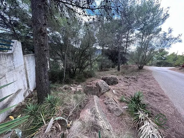 Spot image