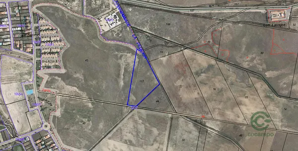 Spot image