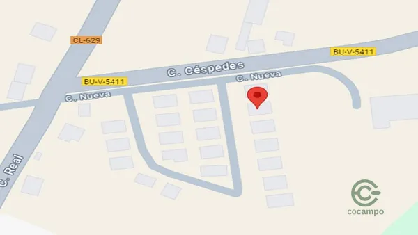 Spot image