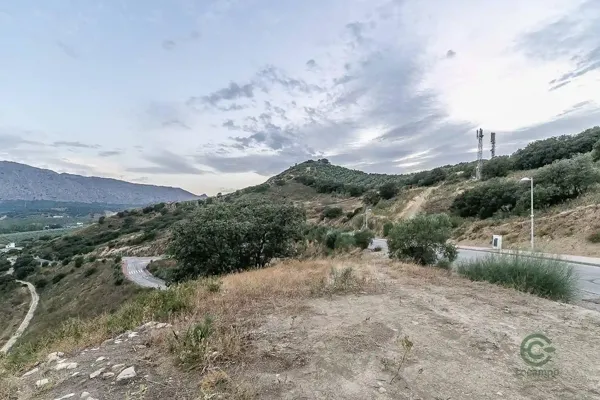 Spot image