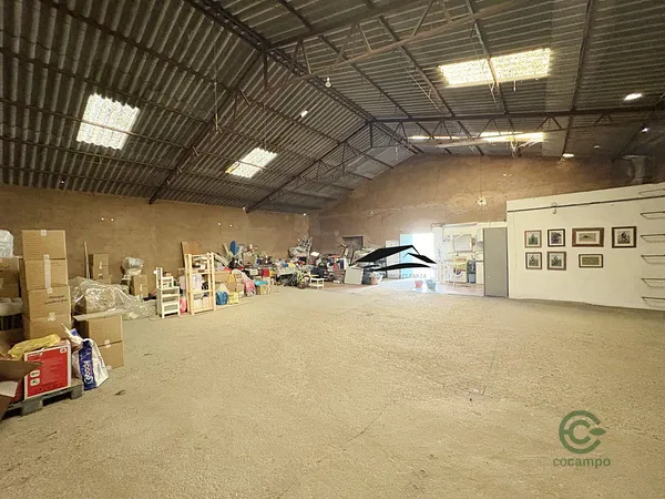 Spot image