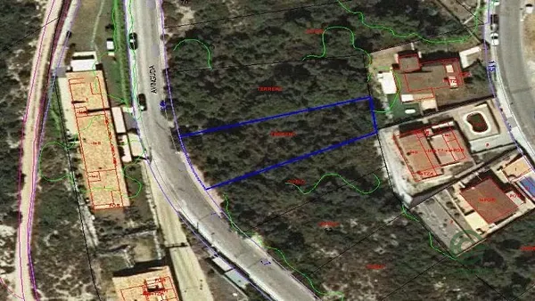 Spot image