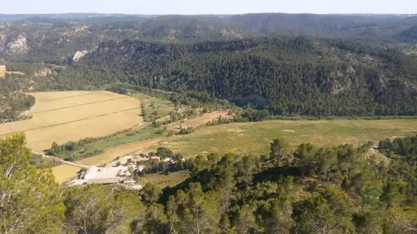 Spot image