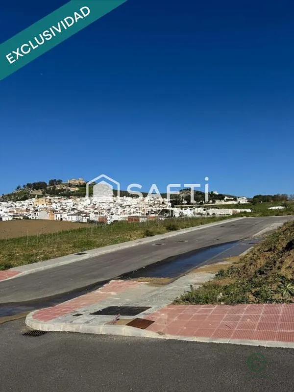 Spot image