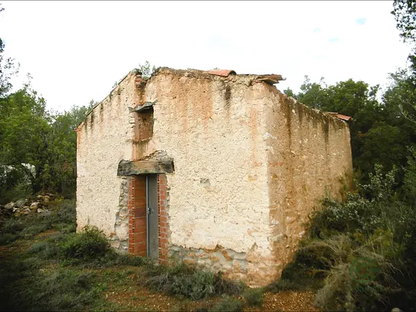 Spot image