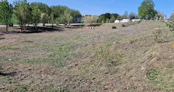 Spot image