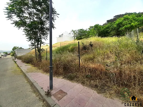 Spot image