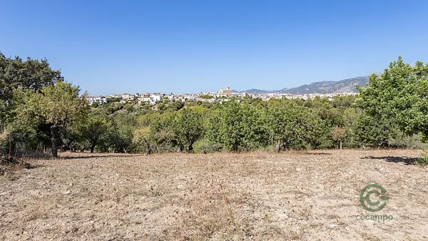 Spot image
