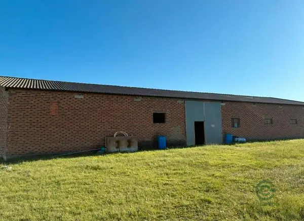 Spot image