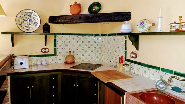 Spot image