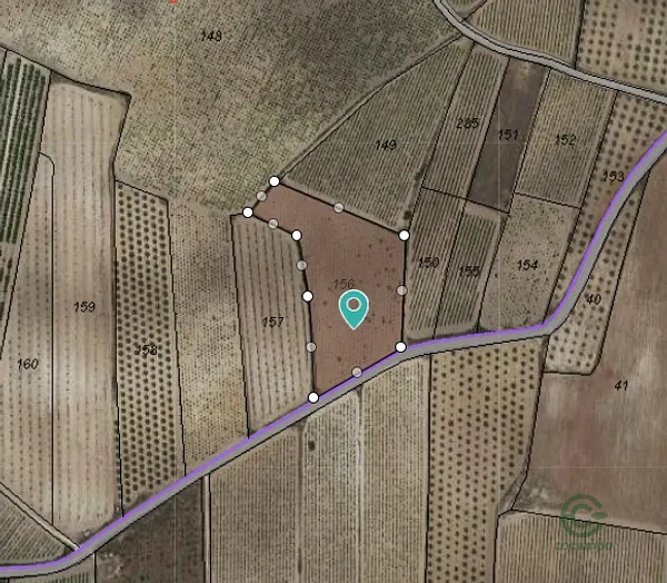 Spot image