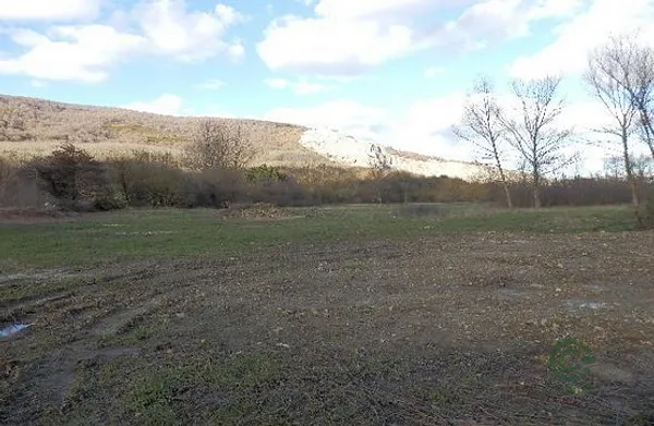 Spot image
