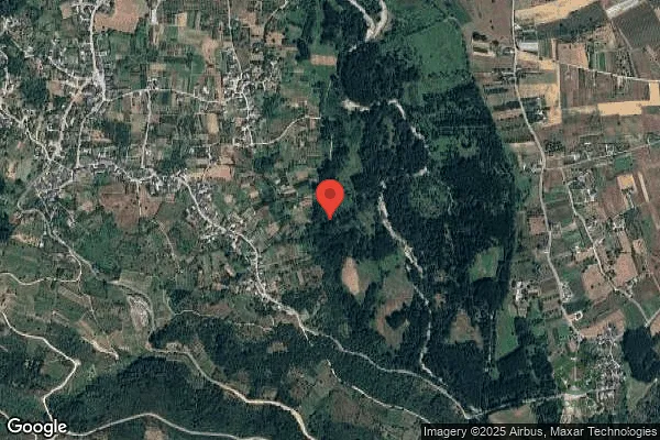 Spot image