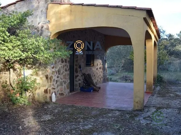 Spot image