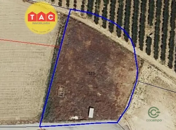 Spot image