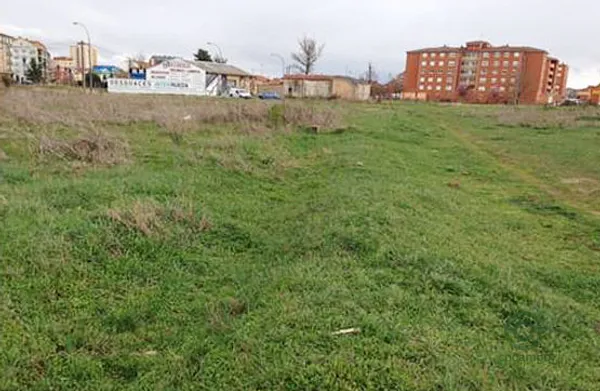 Spot image