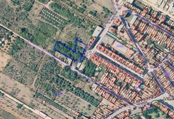 Spot image