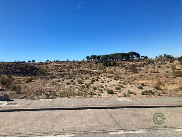 Spot image