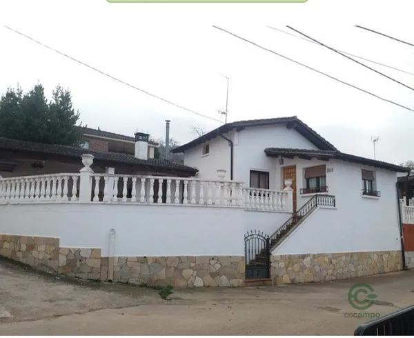 Spot image