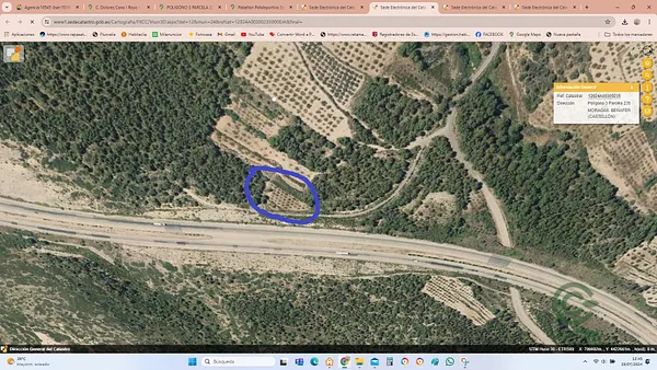 Spot image