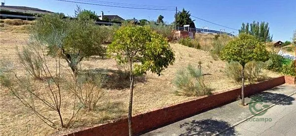 Spot image