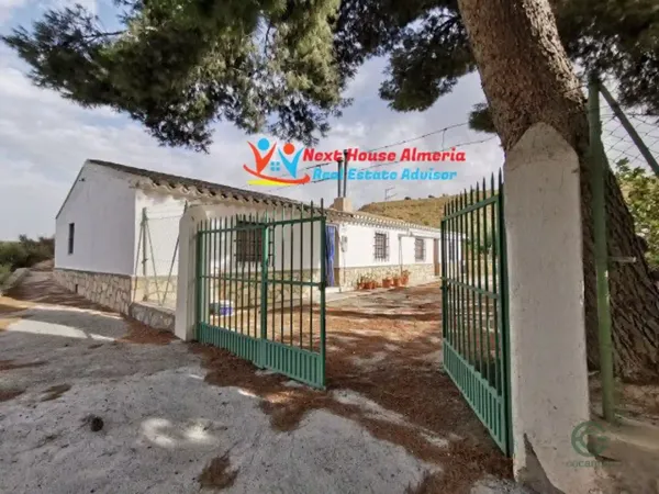 Spot image