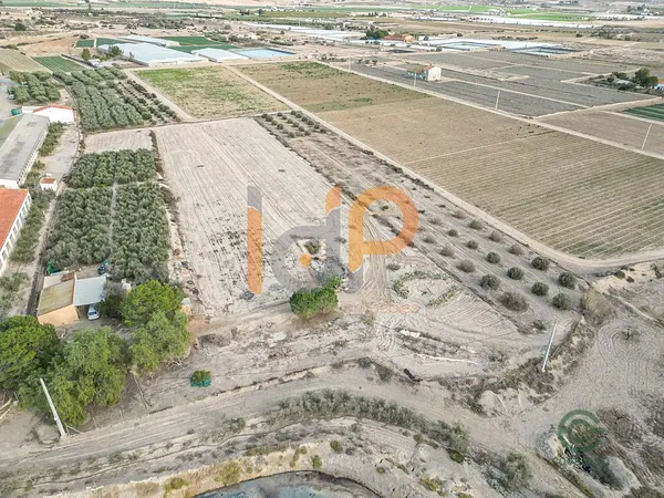 Spot image