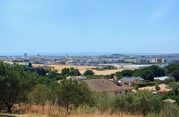 Spot image