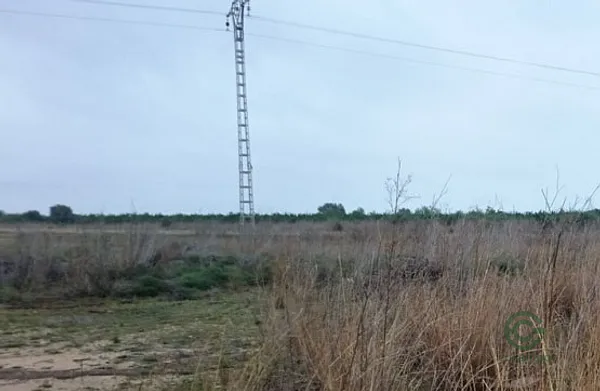 Spot image