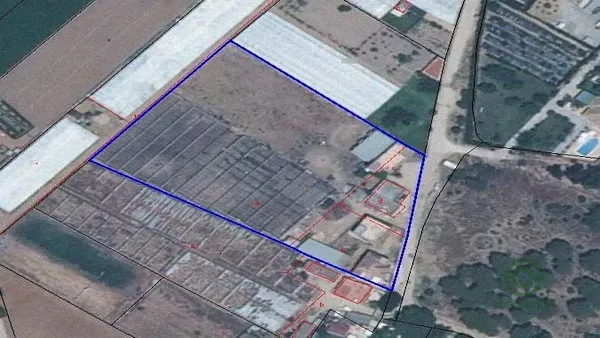 Spot image