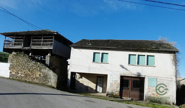 Spot image