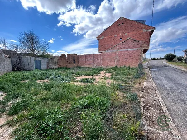 Spot image